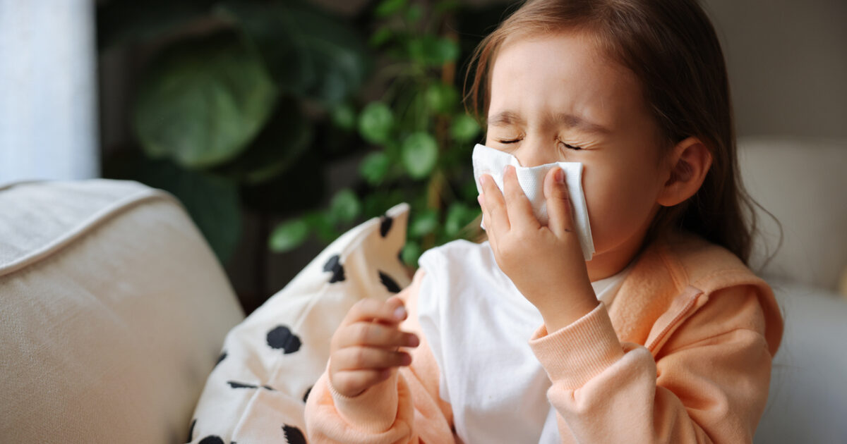 istock-1441231001-1200x630-1